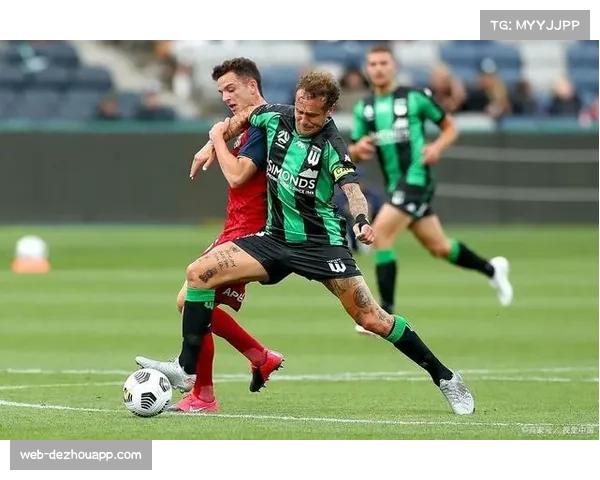 东西部球队风格传统差异 身体对抗与进攻流畅度各有侧重